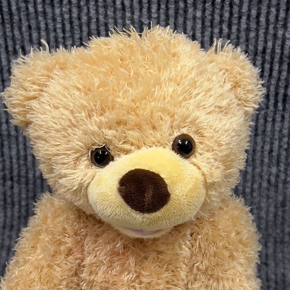 Baby GUND Peek A Boo Brown Teddy Bear 11” Plush Animated Stuffed Animal Toy - Picture 4 of 13